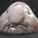 [댓글부탁해] 느가그래블랙엇의가사는<b>아리</b>석대