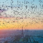 [댓글부탁해] 졸업한지 <b>두달</b>이 돼가는데