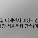 수도권 <b>미세</b>먼지 너무하네요..