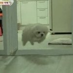 [댓글부탁해] 가고싶은 대학교 학과 <b>적자</b>!