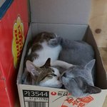 <b>루루</b>남친 김군이었음?
