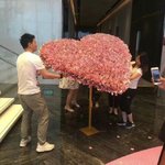 중국의 흔한 프로포즈 ㄷㄷㄷ