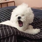 [댓글부탁해] 백탁있는 선크림 ㅊㅊ 좀