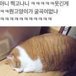 여행갔다가 친구랑싸움ㅋㅋㅋㅋ