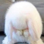 [조언부탁해] 예비고1 학교에서 <b>나혼</b>잔데 조언좀