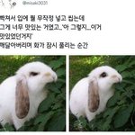[19] 이거 내 <b>첫남친</b>이 했던 건데 ㄹㅇ이상하지않음?