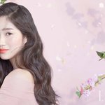 결막부종때문에 <b>흰자</b>가 부풀었는데 (약혐
