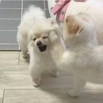 [댓글부탁해] 민감성이고 피부 얇고 진짜 예민한 피부인데 파데 뭐...