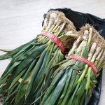 [내가한요리] 겨울철<b>대파</b>김치담그기