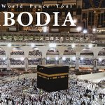 우리 같이 평화해요