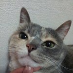 [댓글부탁해] 여자 혼자 클럽가는거 <b>위험</b>해?ㅠ