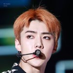 [EXO] 감귤 세훈이 빨리 보고싶어여