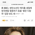 [방탄소년단] B비 C 홉 생일 기념 멸종위기 다<b>람지</b> 입양 보도