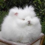 [EXO] <b>잇몸</b> 부어본적있는애있냐