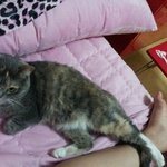 [댓글부탁해] 유아교육과 <b>실습</b> 몇시쯤에 끝나는지 아는사람 ㅠ
