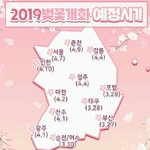 [모두드루와] 2019 벚꽃<b>개화</b> 예정시기
