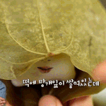 [방탄소년단] 가사 해석좀ㅠㅠ