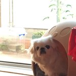 우리아빠개웃김ㅋㅋㅌㅋㅋㅋㅋ