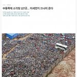 애들아 대한<b>민국</b> 끝난것 같아