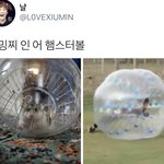 [시우민] 짹에 시우민 새집 뭐야?