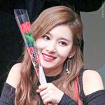 [드루와] 트와이스 <b>사나</b> 닮는법 없어...?