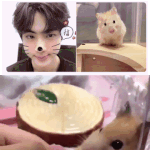 네오다다에 그 누런종이 <b>파나</b>??