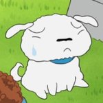 [댓글부탁해] 이제 10대는 아니지만 옷 어디서 <b>사야</b>할까ㅠㅠ