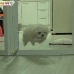 [드루와] <b>어제</b> <b>쫌</b> 먹어서 1키로 쪘는데