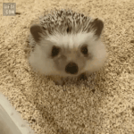 만만한 <b>대우</b> 받는애 특징이 뭐야??