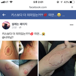 페북에서 이거 보고 <b>개띠</b>용함...