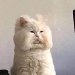 내 본진 팬들 중에 존잘님 계셨었는데