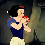<b>맥주</b> 6캔 먹으면 많이 먹는거야?