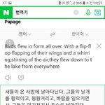 너네시내걸어가다<b>폰팔</b>이들붙을때어떻게함
