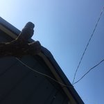[댓글부탁해] <b>요기</b> 어디게 맞춰바