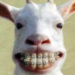 [드루와] 교정할때제일힘든점말해보자 !!