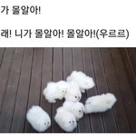[드루와] 내가 젖당분해<b>효소</b>가 없는 건가