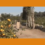 [강다니엘] [팬메이드] 강코룽의 제주<b>워홀</b>도전기 브이로그