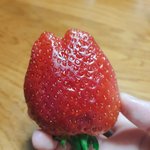 퍼스널 칼라 찾는거 좀 도와주라ㅠㅠㅠㅠ