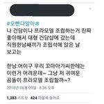 트위터 주작 모음 보는데 <b>개재</b>밋다