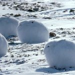 난 내가 <b>INFP</b> 라는게 싫어