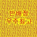 내일반배<b>정나</b>와씹알