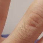 [댓글부탁해] 얘들아 손에 털난 친구들있닝~~~~?!?!?!