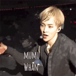 [EXO] 무1무1완을 잊은 엑소엘에게... 떡밥은 없다