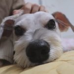 [드루와] 우리나라 패션의 <b>문제점</b>
