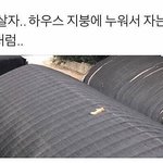 [댓글부탁해] 비대칭 <b>양악</b> 추반 좀 해주라