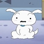 헐 <b>배그</b> 10판 돌리고 거울 봤는데