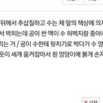 [<b>19</b>] 추반