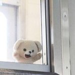 [드루와] 오늘 사선피어싱 뚫으러 간다 미췬