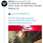 [EXO] 가는 길마다 레드카펫 또 런웨이인걸~~