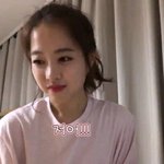 고라니때문에 속상한 박보영